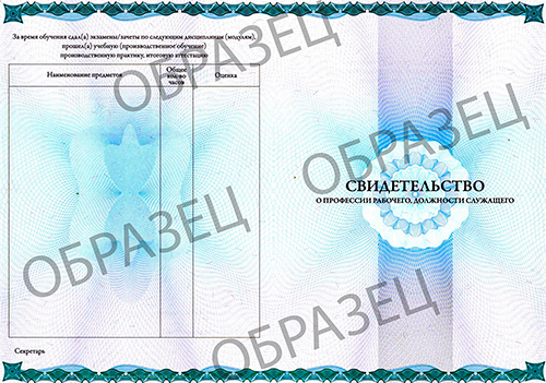 Образец_Свидетельство ООО ИОЦ Северная столица 2